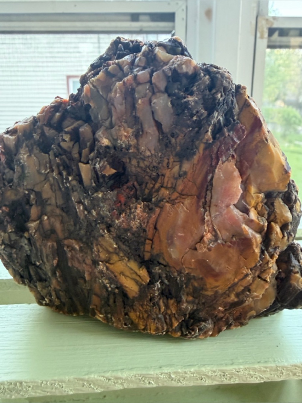 Large Petrified Wood Specimen